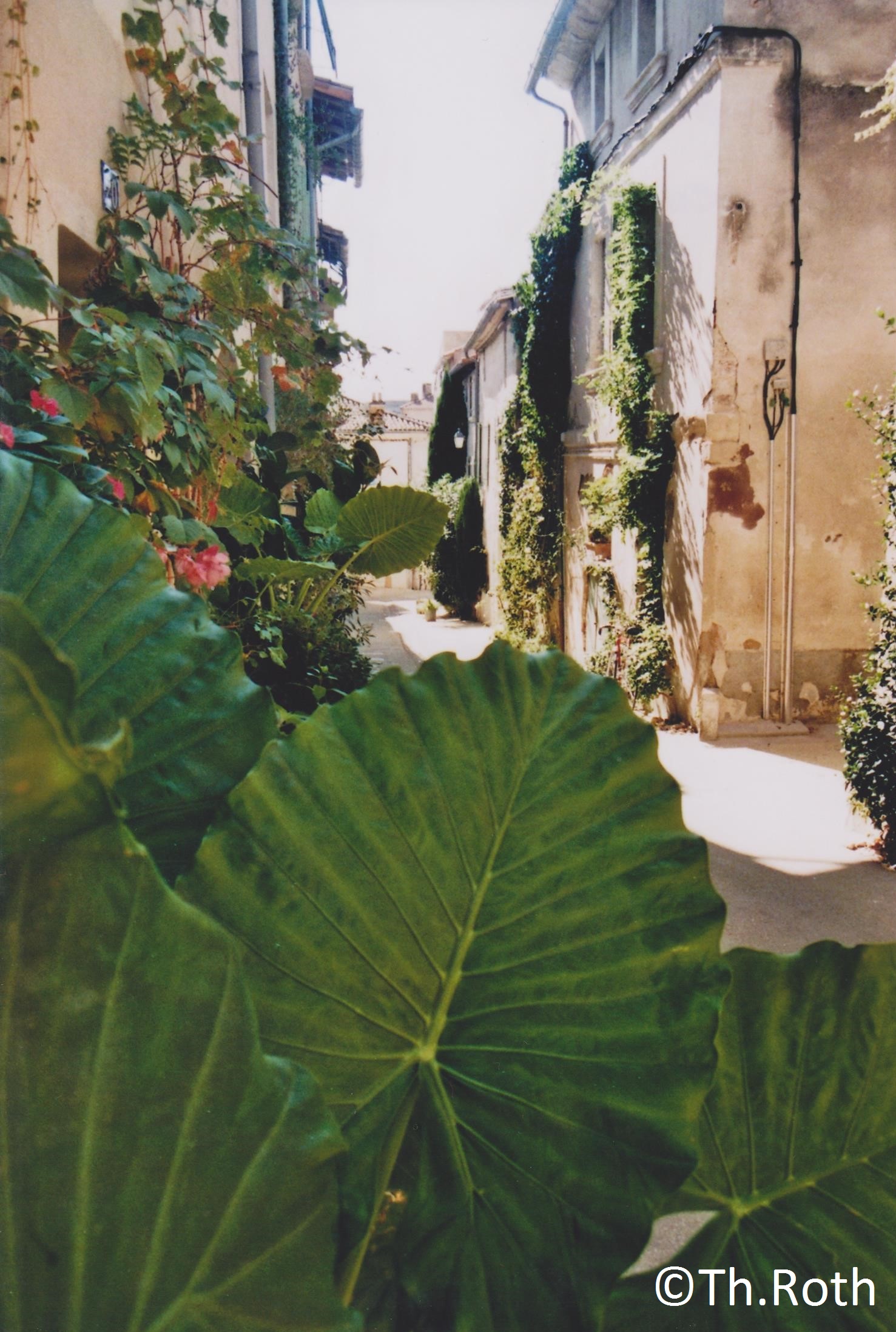 avignon-80