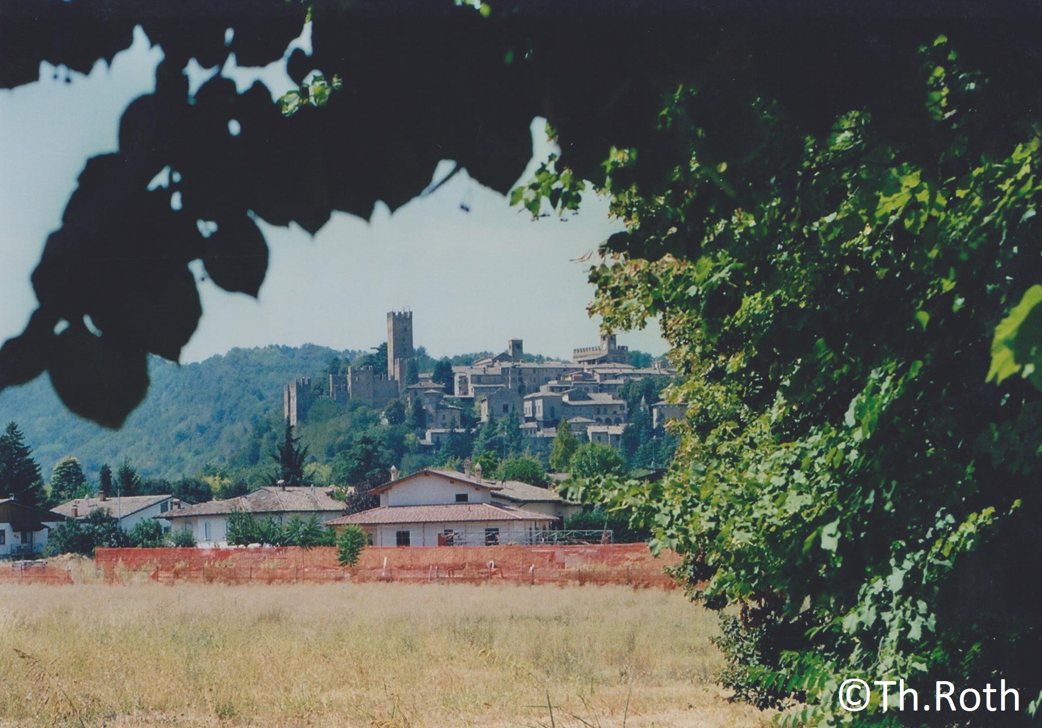 c-arquato-01