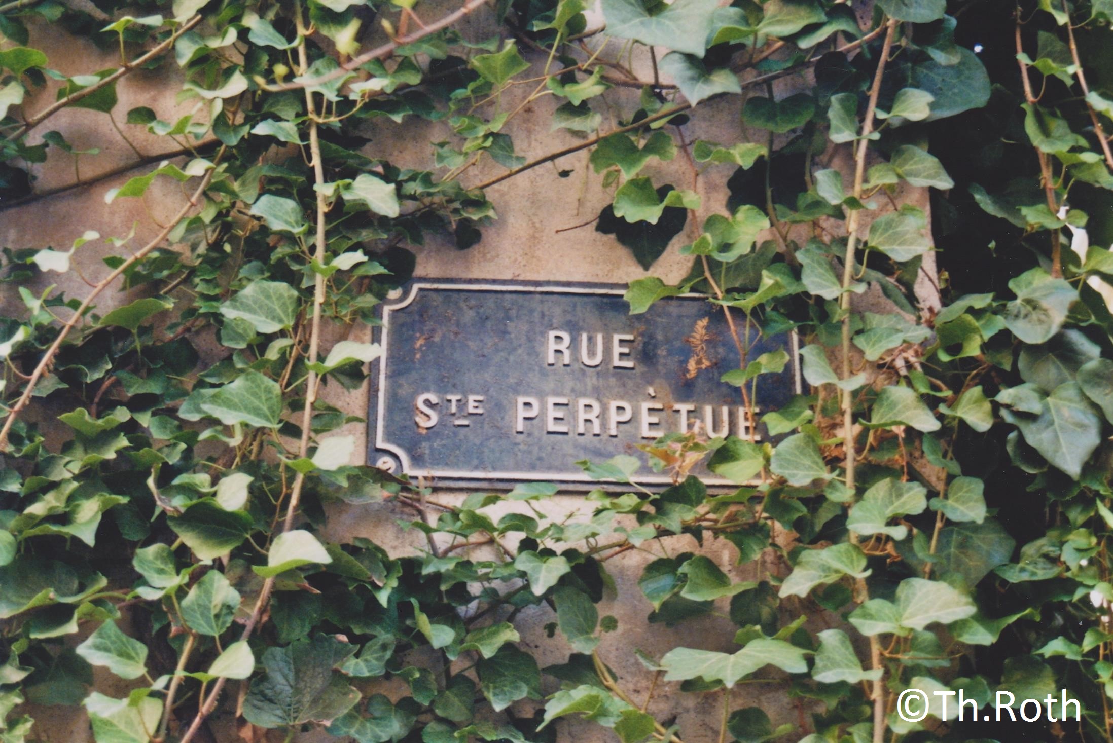 avignon-52