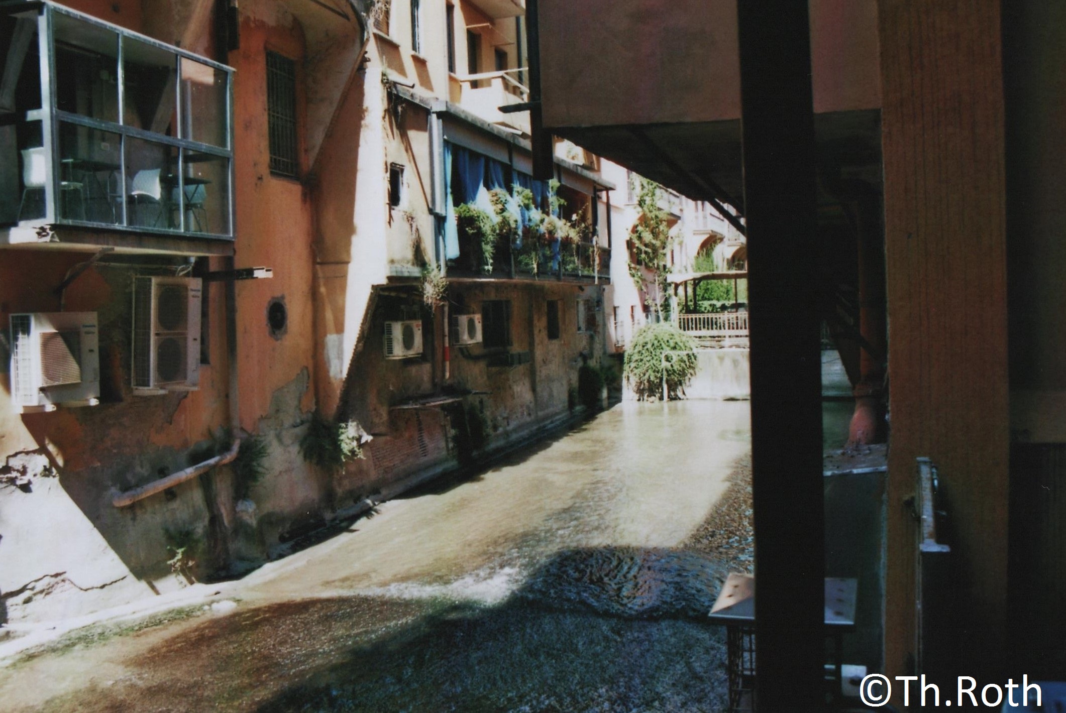 bologna-268